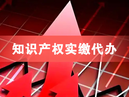 扬中知识产权实缴资本代办